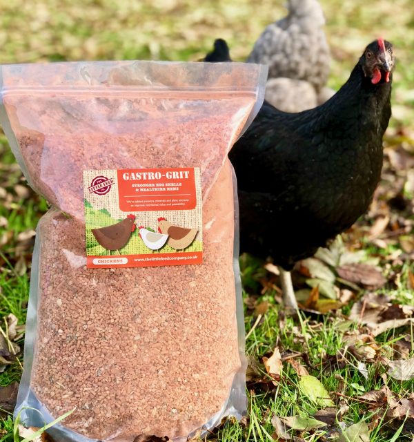 grit for chickens