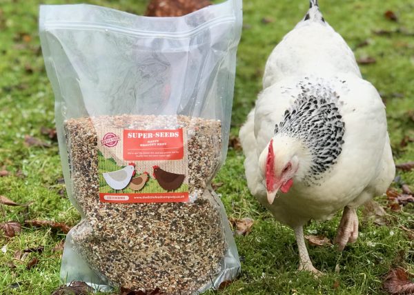 chickens, bhwt, rescue hens, poultry