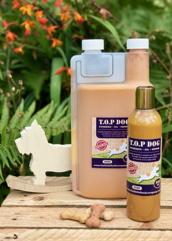 turmeric for dogs