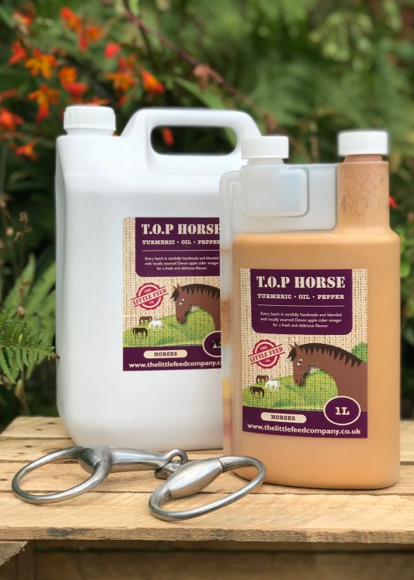 turmeric for horses