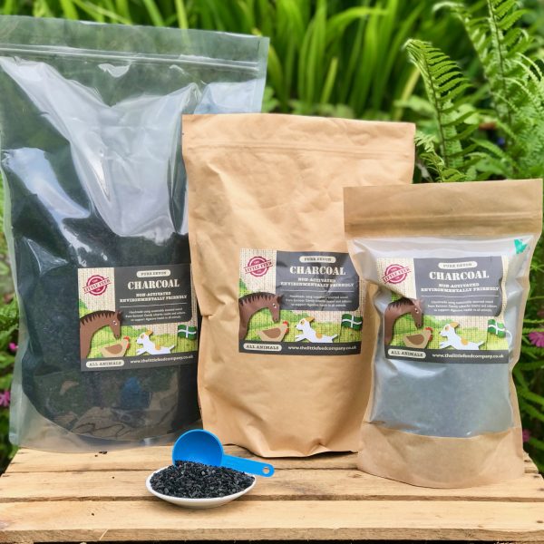 charcoal supplement