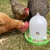 Bio Plastic Poultry Feeder - Image 2