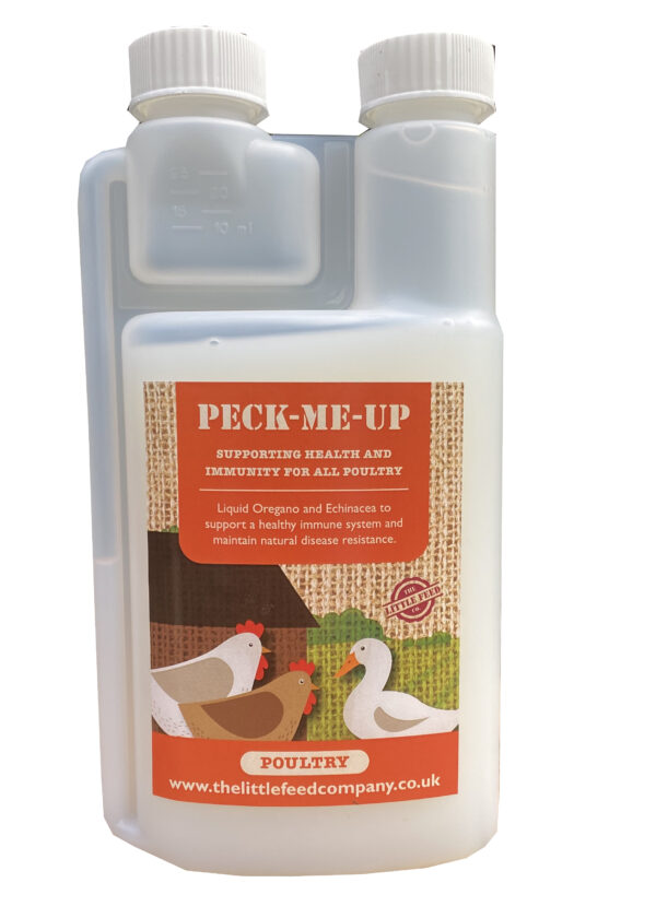 oregano for chickens, echinacea for chickens prebiotics