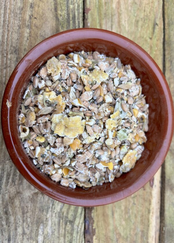 duck food