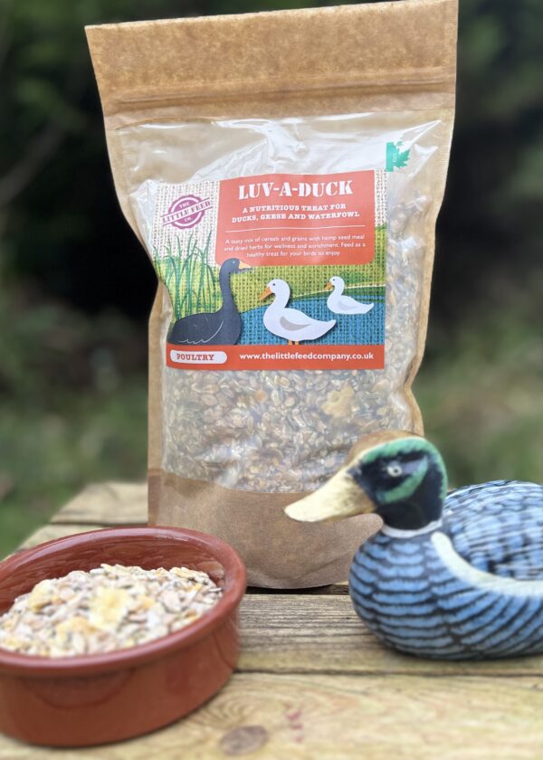 duck food treats for ducks
